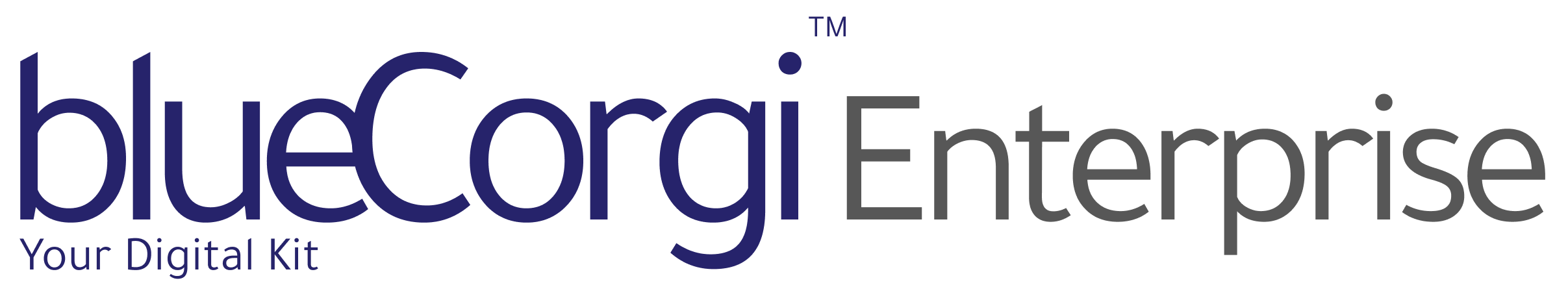 BlueCorgi Enterprise logo